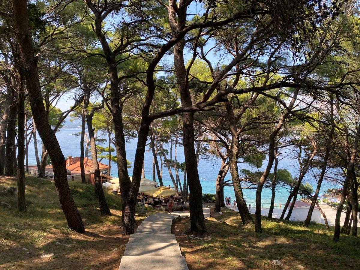 Villa Piscitelli Cavtat Zewnętrze zdjęcie